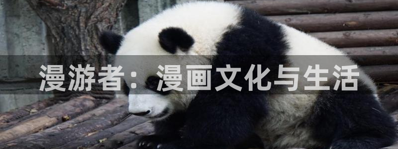 酷漫屋免费漫画入口页面在哪