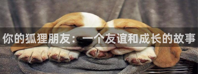 酷漫屋：你的狐狸朋友：一个友谊和成长的故事